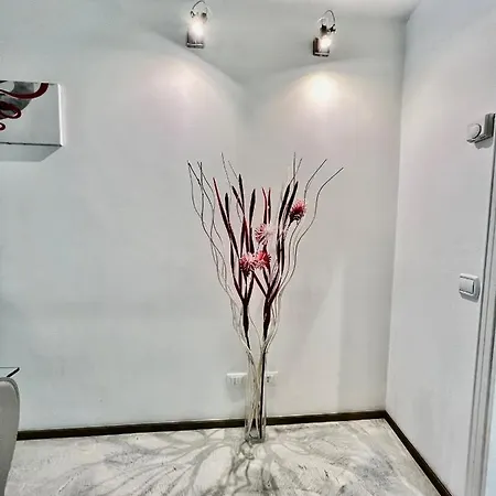 Apartment Centralissimo Open Space 110 Mq Immerso Nel